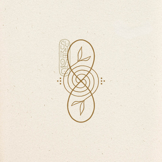Infinity Spiraal Bladeren - Logo